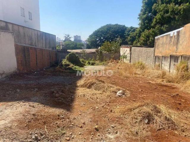 Terreno venda em Região Geográfica Imediata de Uberlândia, Oliveira Fortes