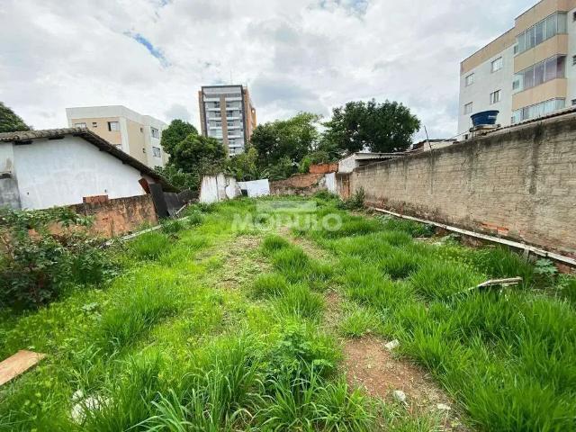 Terreno venda em Região Geográfica Imediata de Uberlândia, Oliveira Fortes