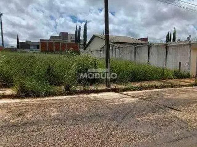 Terreno venda em Região Geográfica Imediata de Uberlândia, Oliveira Fortes