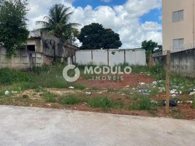 Terreno venda em Região Geográfica Imediata de Uberlândia, Oliveira Fortes