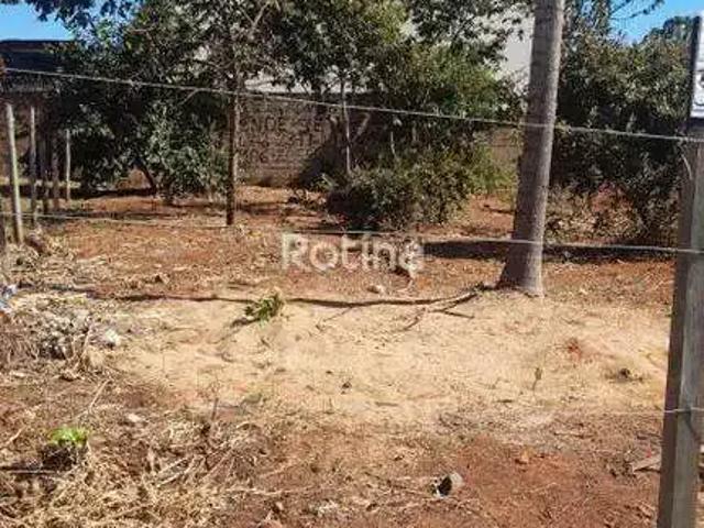 Terreno venda em Região Geográfica Imediata de Uberlândia, Oliveira Fortes