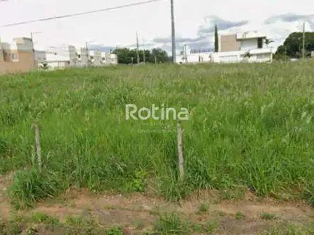 Terreno venda em Região Geográfica Imediata de Uberlândia, Oliveira Fortes