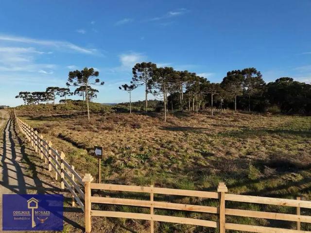 Terreno venda em Região Geográfica Imediata de Videira, Videira