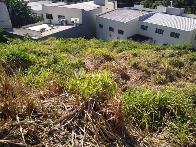 Terreno venda em Região Imediata de Campinas, Região Metropolitana de Campinas