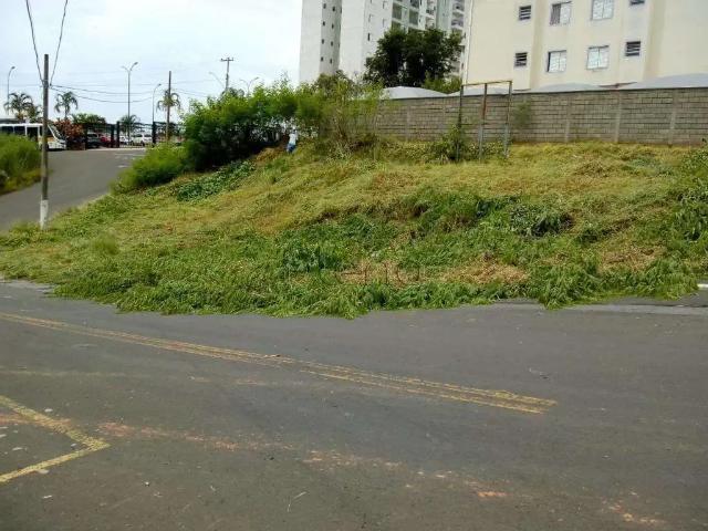Terreno venda em Jardim Eliza, Valinhos