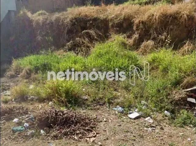 Terreno venda em Região Geográfica Imediata do Distrito Federal, Região Integrada de Desenvolvimento do Distrito Federal e Entorno