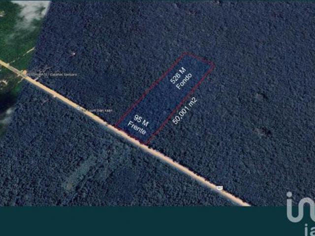 Venta Terreno uso mixto y Turístico en Tulum Muyil a pie de Carretera Federal 307