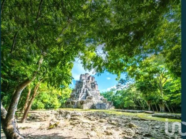 Venta Terreno uso mixto y Turístico en Tulum Muyil a pie de Carretera Federal 307