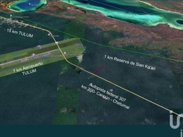 Venta Terreno uso mixto y Turístico en Tulum Muyil a pie de Carretera Federal 307