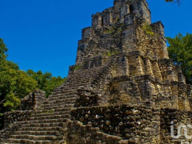Venta Terreno uso mixto y Turístico en Tulum Muyil a pie de Carretera Federal 307