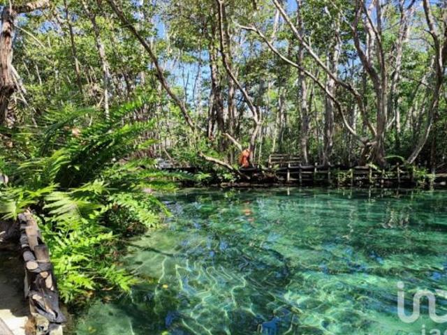 Venta Terreno uso mixto y Turístico en Tulum Muyil a pie de Carretera Federal 307