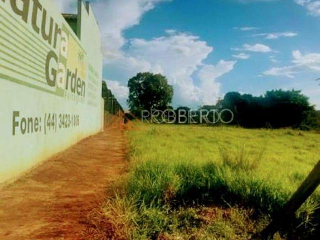 Terreno venda em Jardim São Jorge, Paranavaí