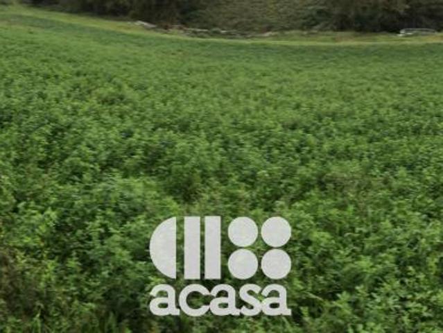 Terreno in vendita a Unione dei comuni Valle del Savio, Mercato Saraceno