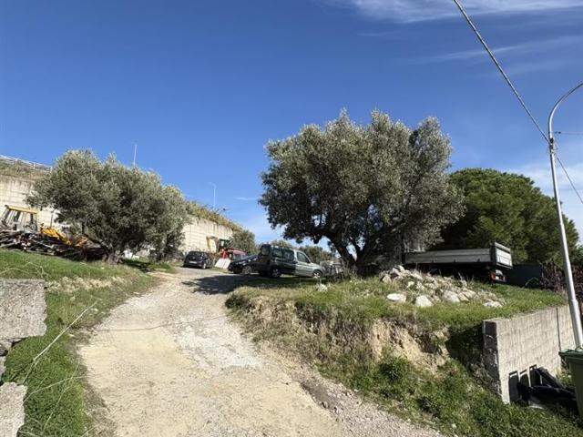 Terreno in vendita a Siano, Calabria