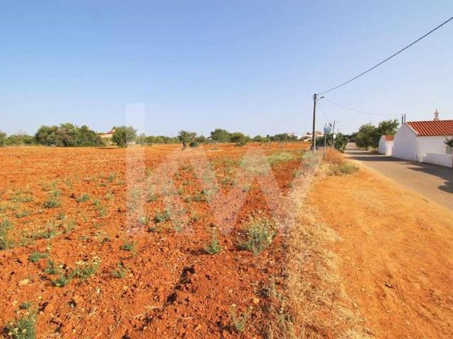 Terreno venda em Guia, Cortelhas