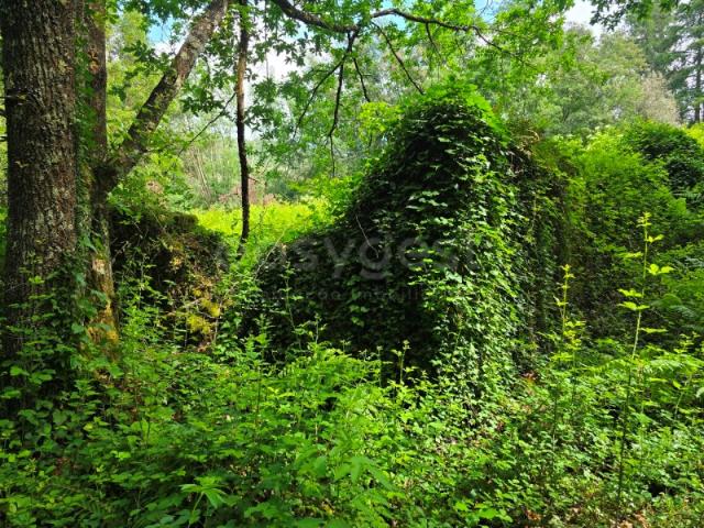 Terreno venda em Arganil