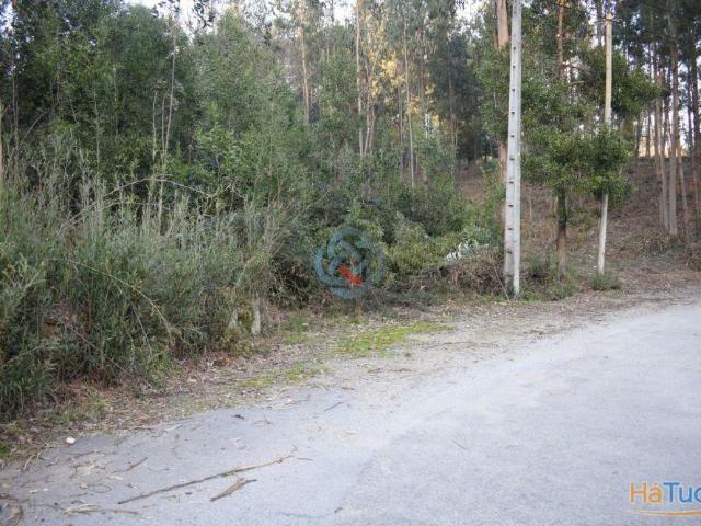Terreno venda em Santa Maria Da Feira, Aveiro