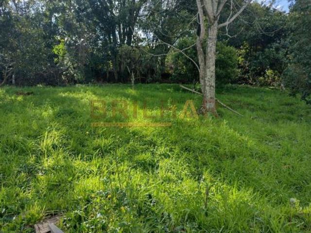 Terreno venda em Região Geográfica Imediata de Caxias do Sul, Caxias do Sul