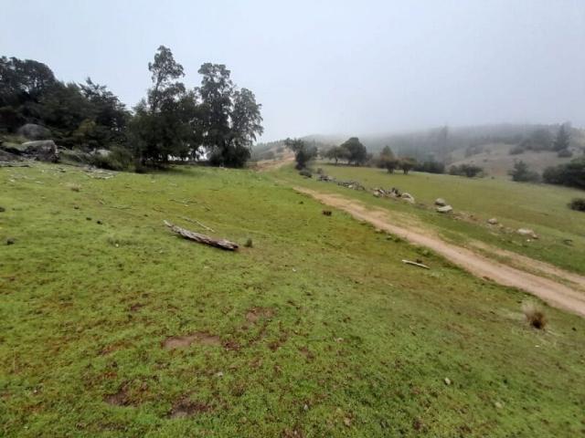 Terreno en venta en Empedrado, Maule