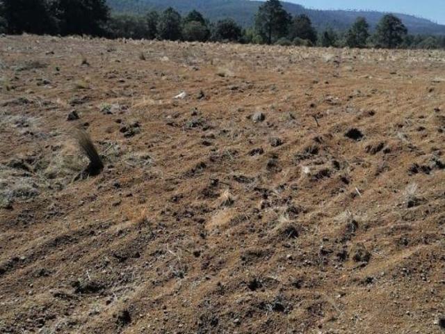Terreno en venta en Perote, Veracruz