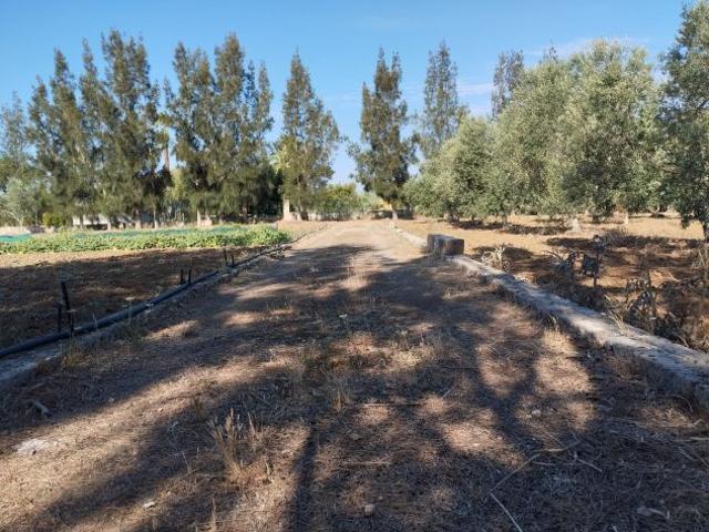 Terreno in vendita a Puglia, Lecce