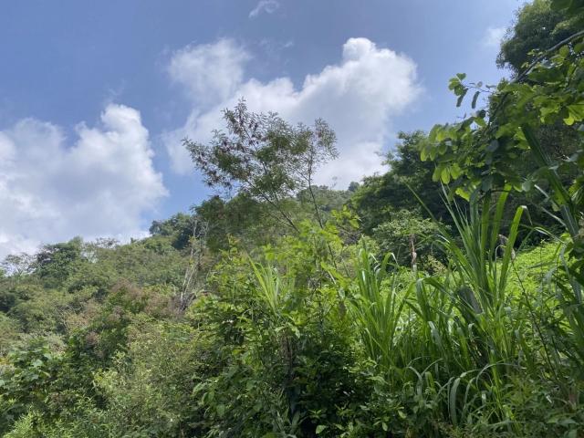 Rancho en venta en Coatepec, Veracruz