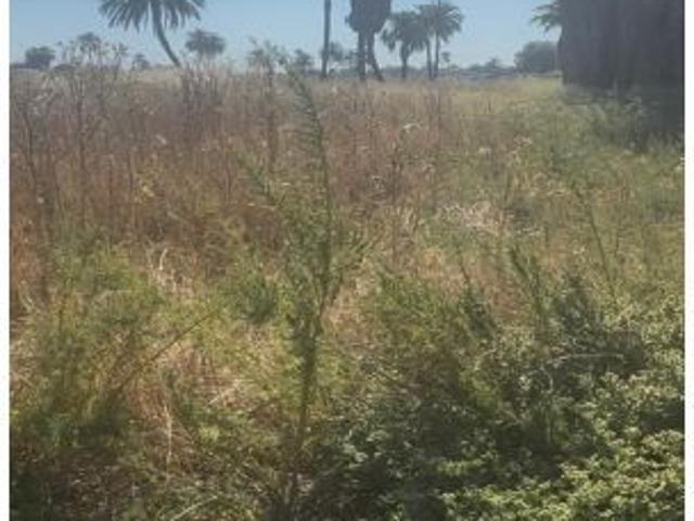 Local Comercial en venta en Daimes, el Baix Vinalopó
