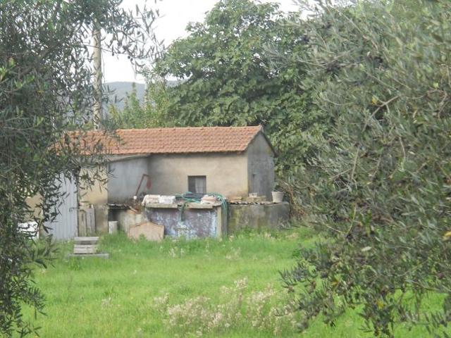 Terreno in vendita a Piombino, Toscana