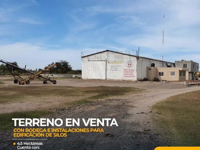 Terreno en venta en Guasave, Sinaloa