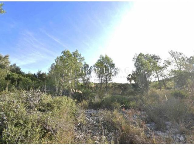 Local Comercial en venta en Garraf, Catalunya