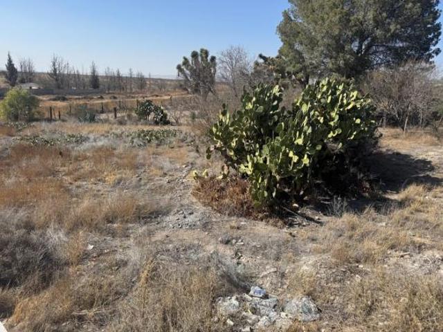 TERRENO CON CASA EN EJIDO AGUA NUEVA CON ESCRITURA