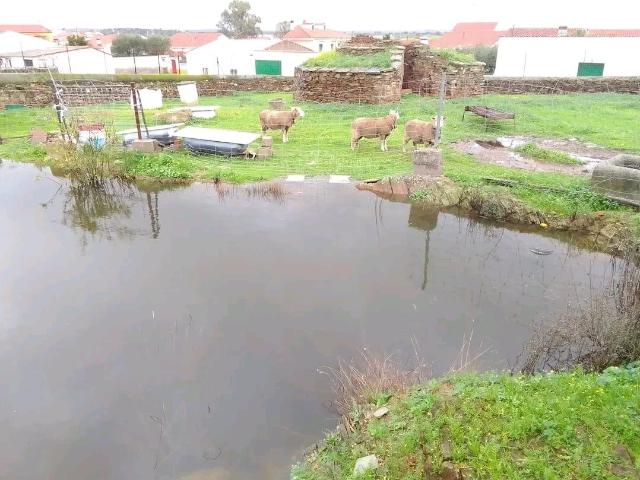 Terreno en venta en Salorino, Extremadura