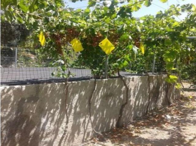 Local Comercial en venta en Comarca de la Alpujarra Granadina, Andalucía