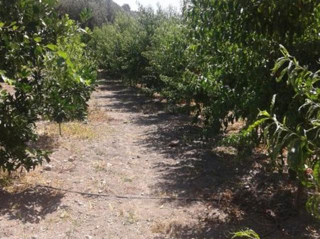 Terreno en venta en Comarca de la Alpujarra Granadina, Andalucía