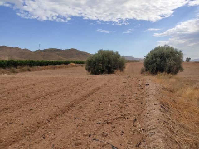 Terreno en venta en Virgen de las Huertas, Alto Guadalentín