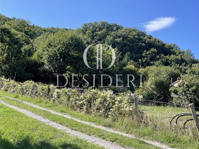 Terreno in vendita a Unione dei Comuni Montani Amiata Grossetana, Arcidosso