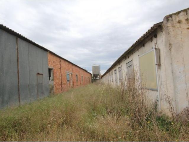 Local Comercial en venta en Campo de Borja, Aragón