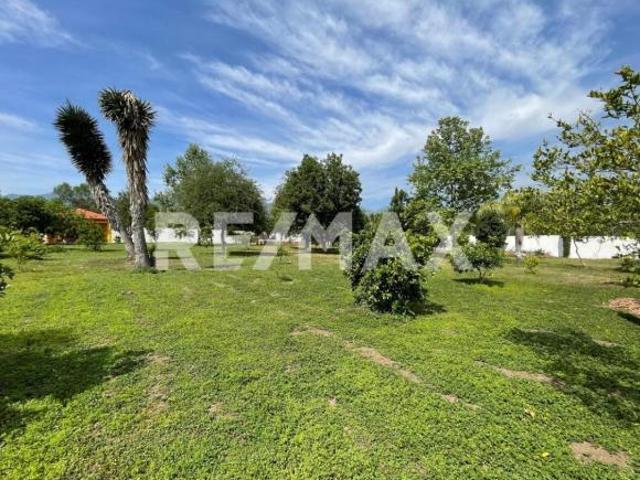 TERRENO CON PALAPA EN MISION ANTIGUA CADEREYTA 4