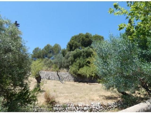 Local Comercial en venta en Serra de Tramuntana, Baleares