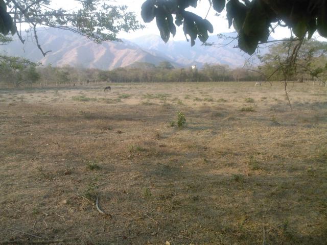 Terreno en venta en San Diego, Carabobo