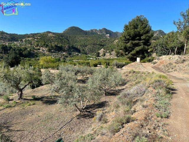 Local Comercial en venta en Valle de Ricote, Murcia