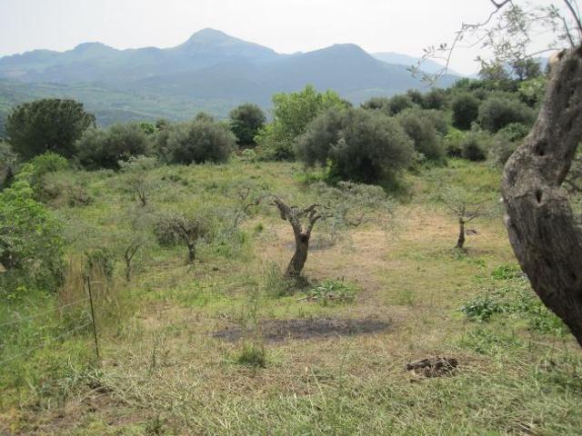 Terreno in vendita a Collesano, Sicilia
