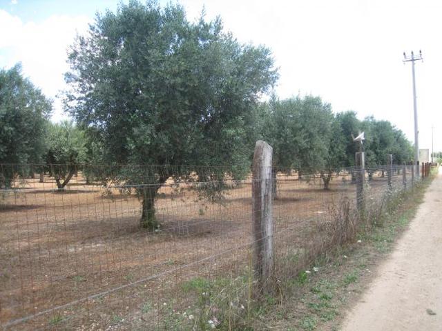 Terreno in vendita a Puglia, Taranto