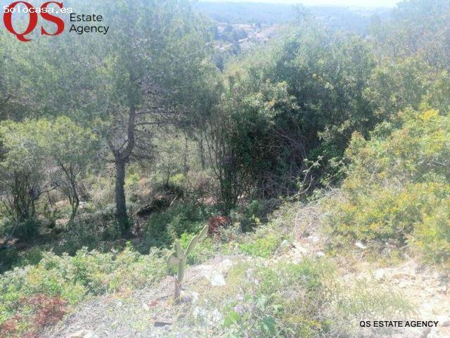 Local Comercial en venta en Baix Penedès, Catalunya