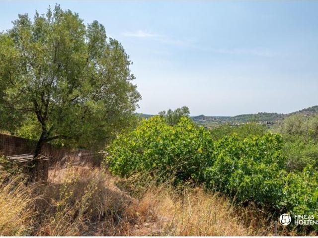 Local Comercial en venta en Raiguer, Baleares