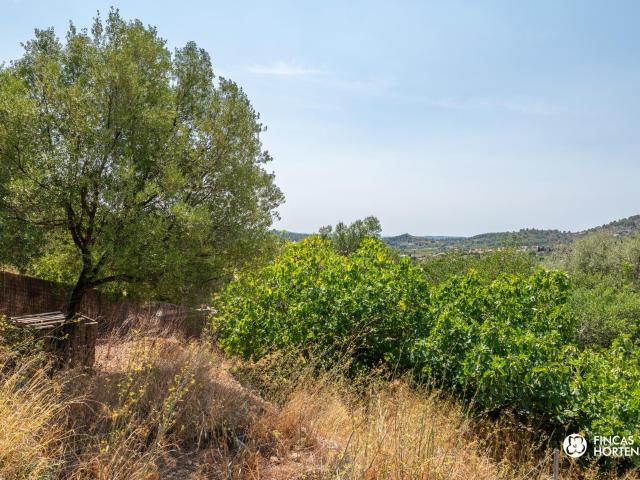 Terreno en venta en es Pontarró, Raiguer