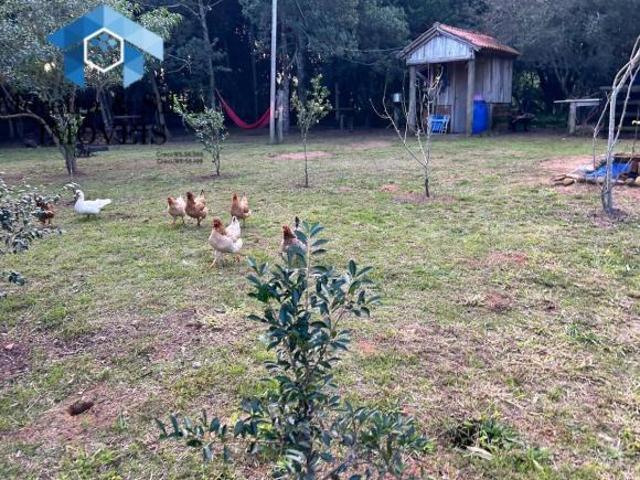 Terreno venda em Setembrina, Viamão