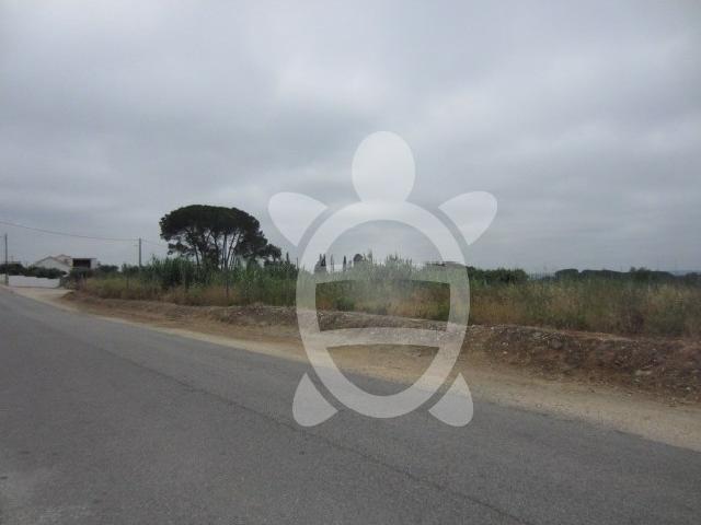 Terreno venda em Condeixa-a-nova, Coimbra