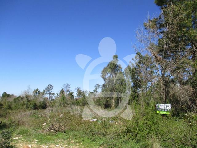 Terreno venda em Condeixa-a-nova, Coimbra