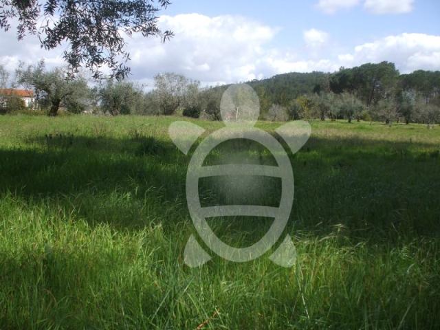 Terreno venda em Condeixa-a-nova, Coimbra